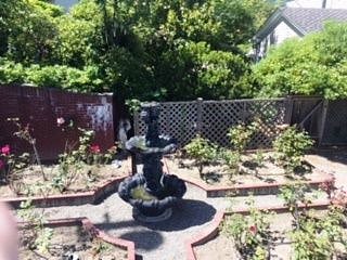 Rear gardens