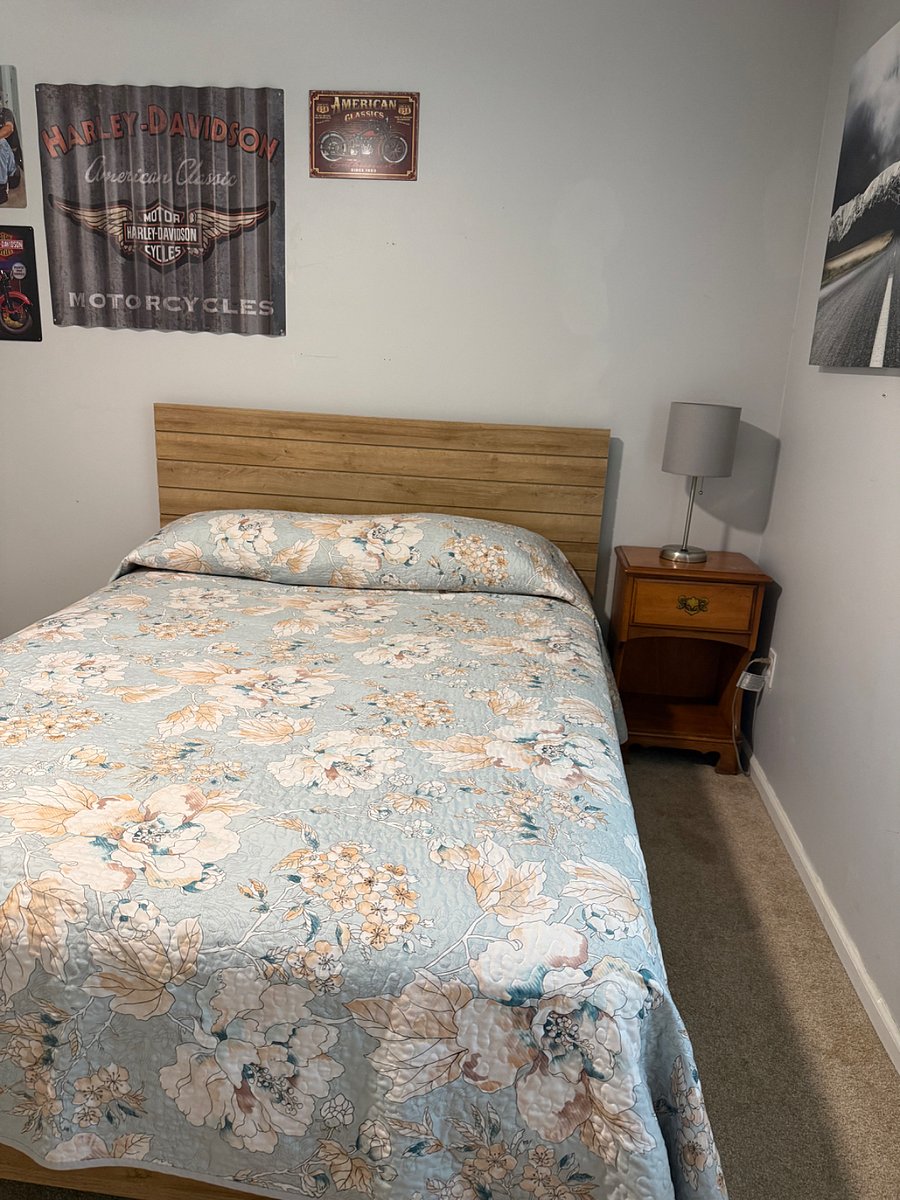 Furnished Finder property 1000094_1 photo 5