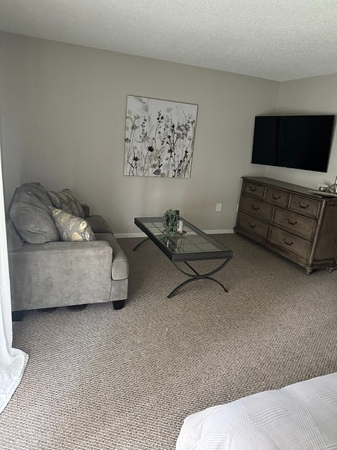 Furnished Finder property 1000254_1 photo 21