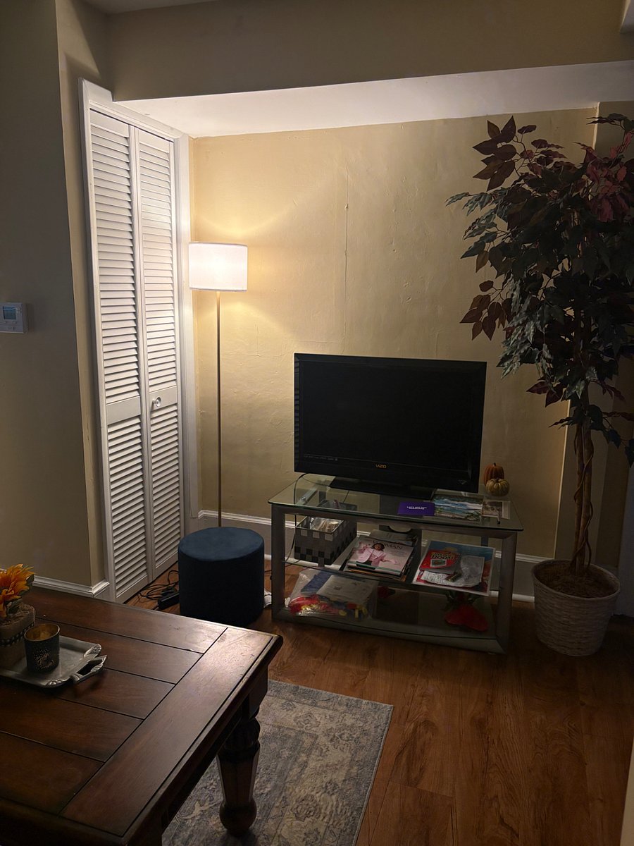 Furnished Finder property 1000360_1 photo 4