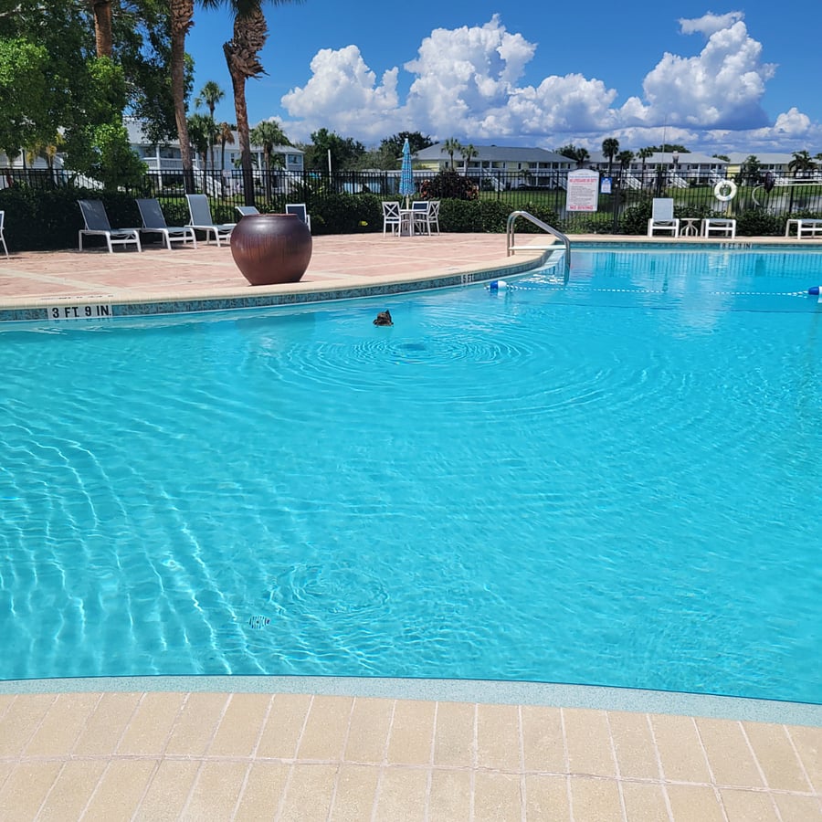 Furnished Finder property 1000363_1 photo 25