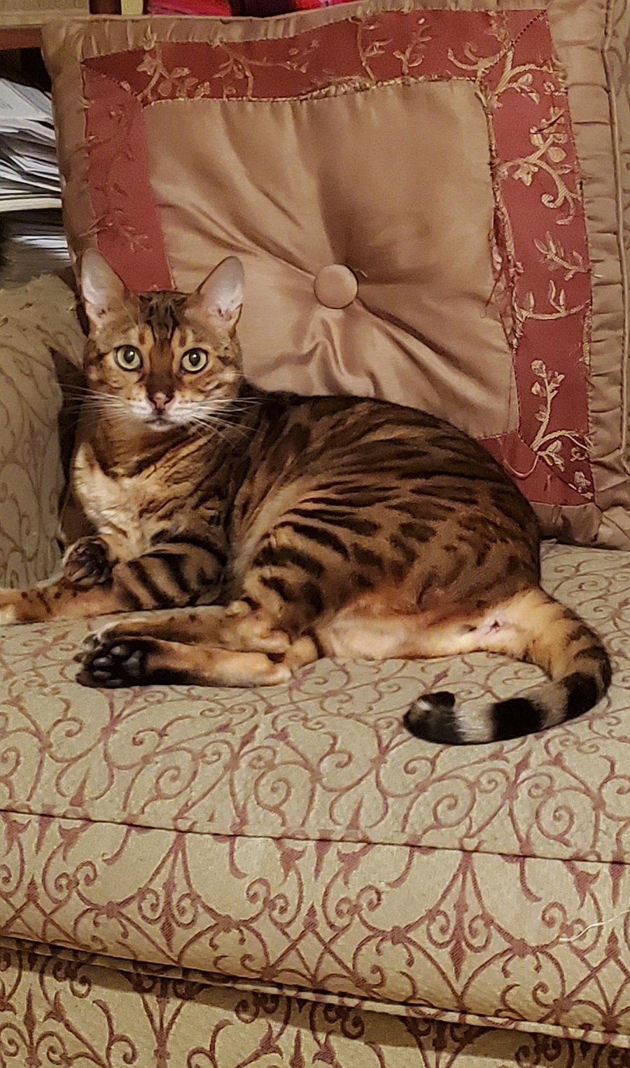 Cori