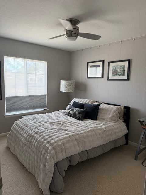 Furnished Finder property 1000429_1 photo 15