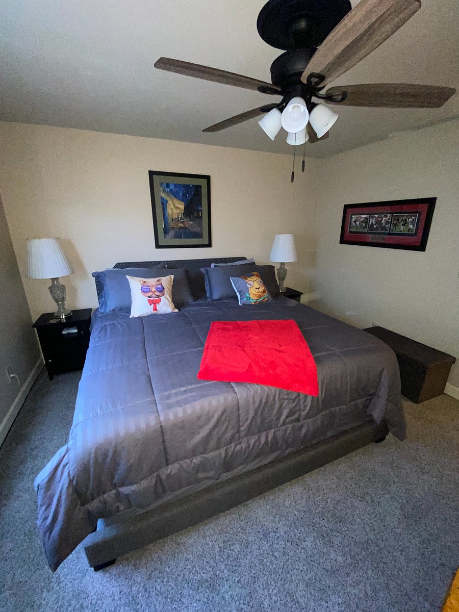 Furnished Finder property 1000506_1 photo 10
