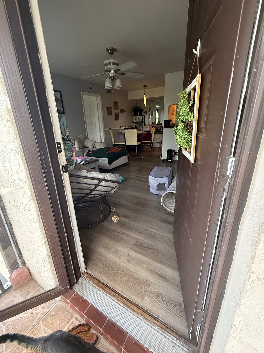 Furnished Finder property 1000554_1 photo 3