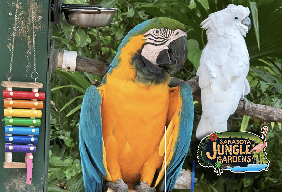 Jungle Gardens 9 miles