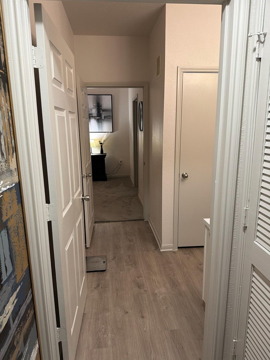 Furnished Finder property 1000594_1 photo 11