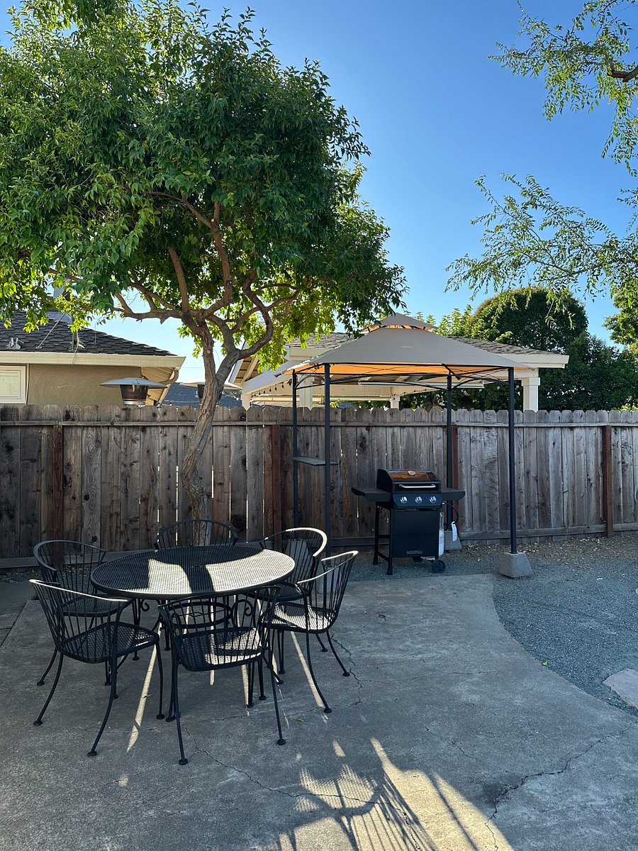 Backyard - Seating and grill