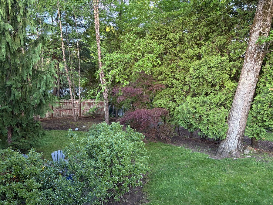 Furnished Finder property 1000608_1 photo 13