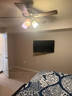 TV in bedroom 
