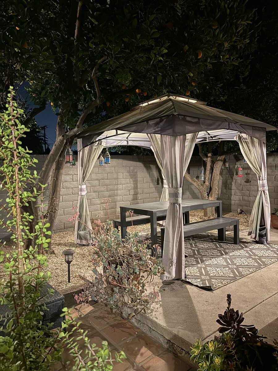 A dining table nestled beneath orange trees with colorful lanterns hanging overhead. Dinner under the stars every night.