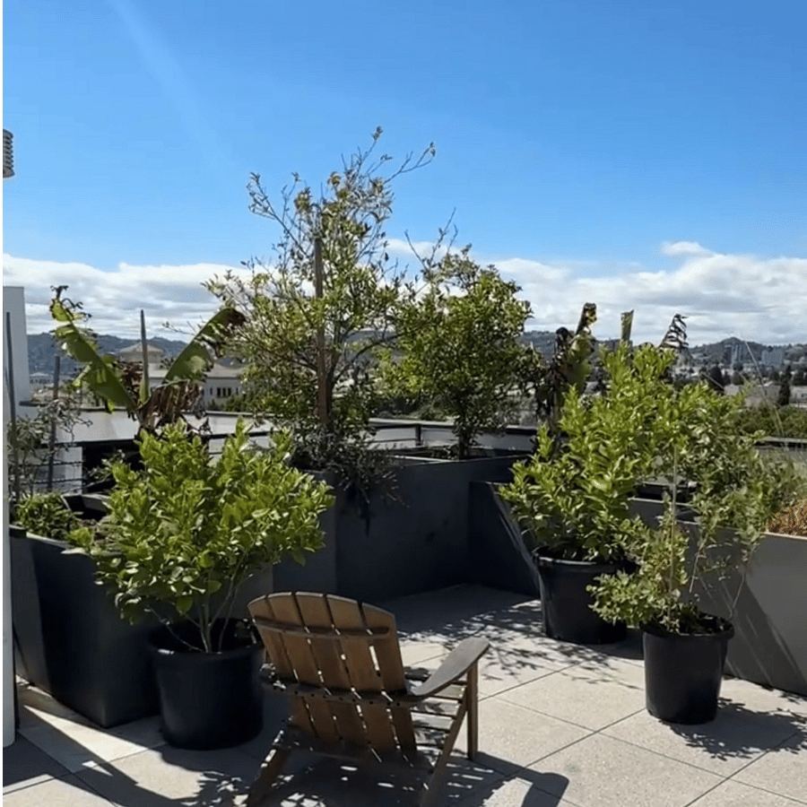 Furnished Finder property 1000662_1 photo 8
