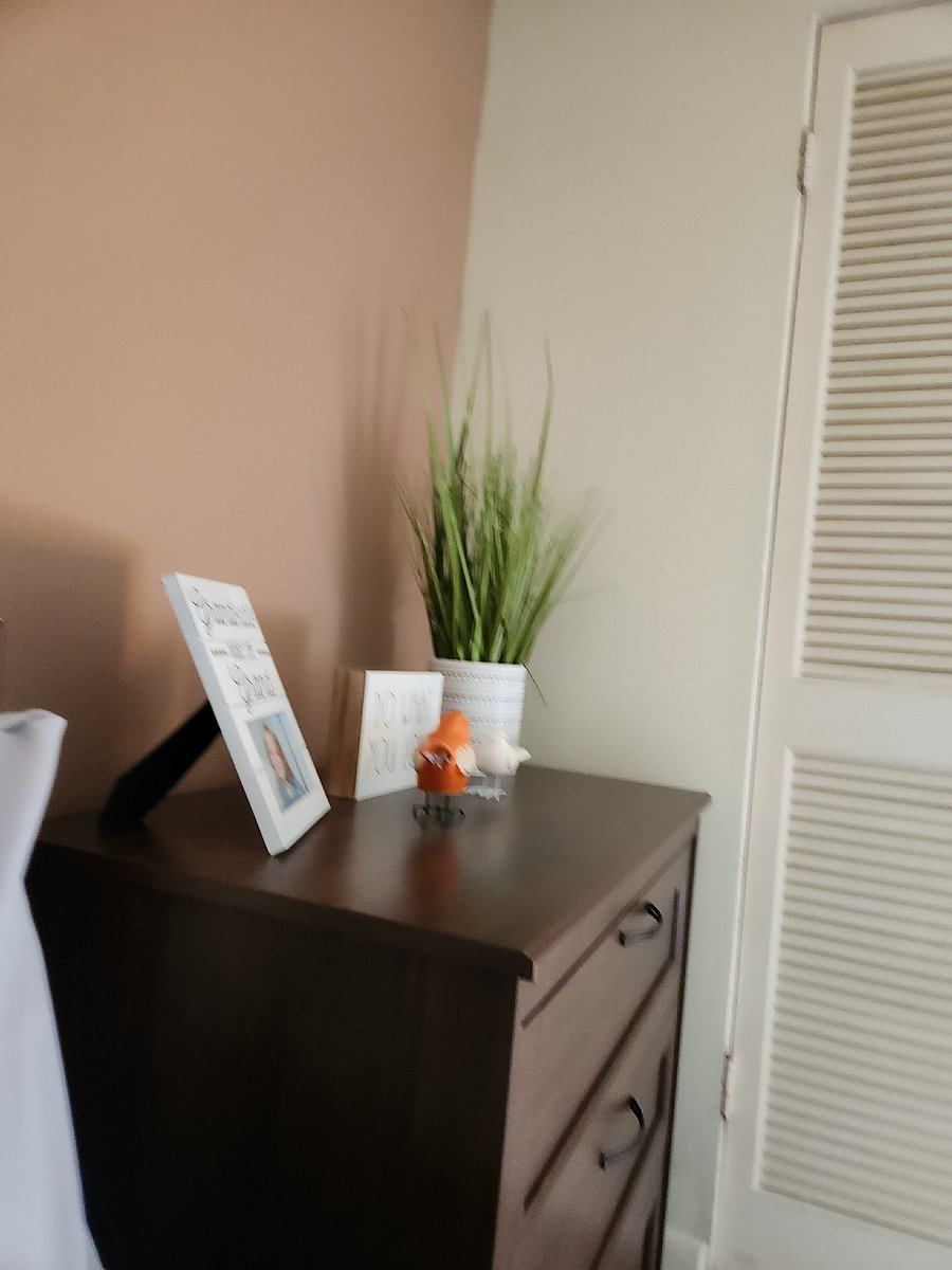 Furnished Finder property 1000787_1 photo 14