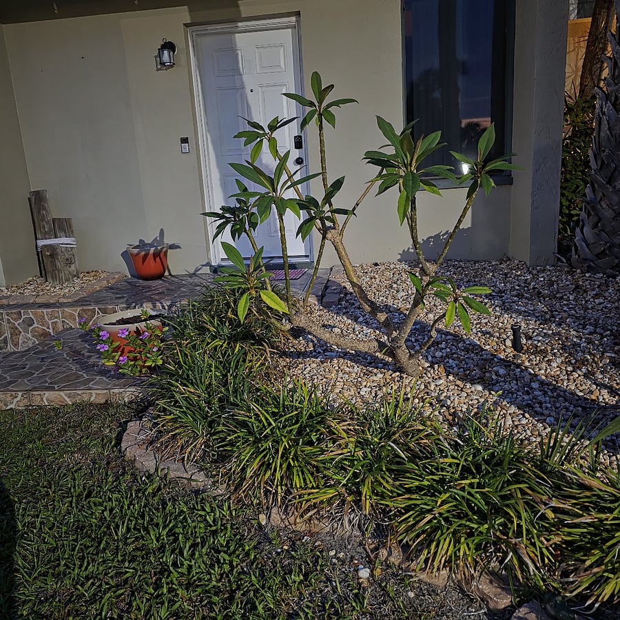 Furnished Finder property 1000787_1 photo 11