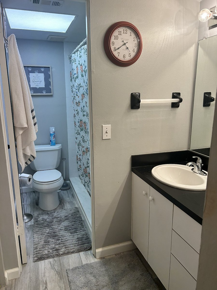 Main Bathroom and Shower