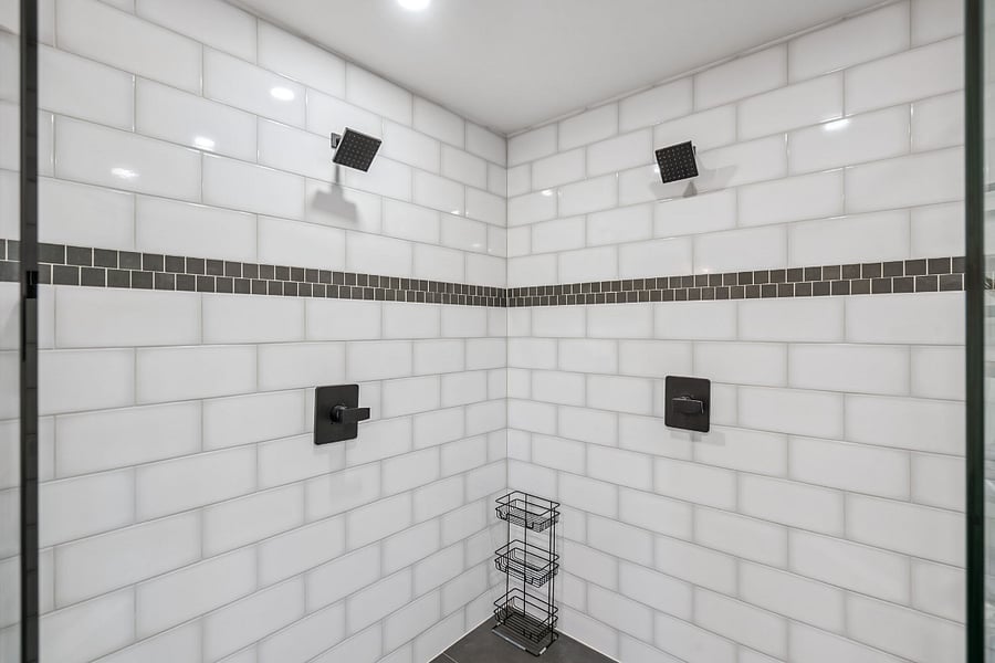Primary Shower