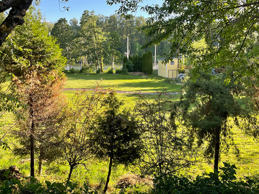 View from rear deck.