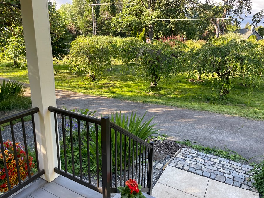 Orchard view from front porch