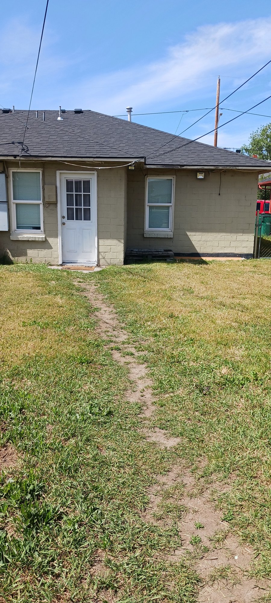 Back yard 