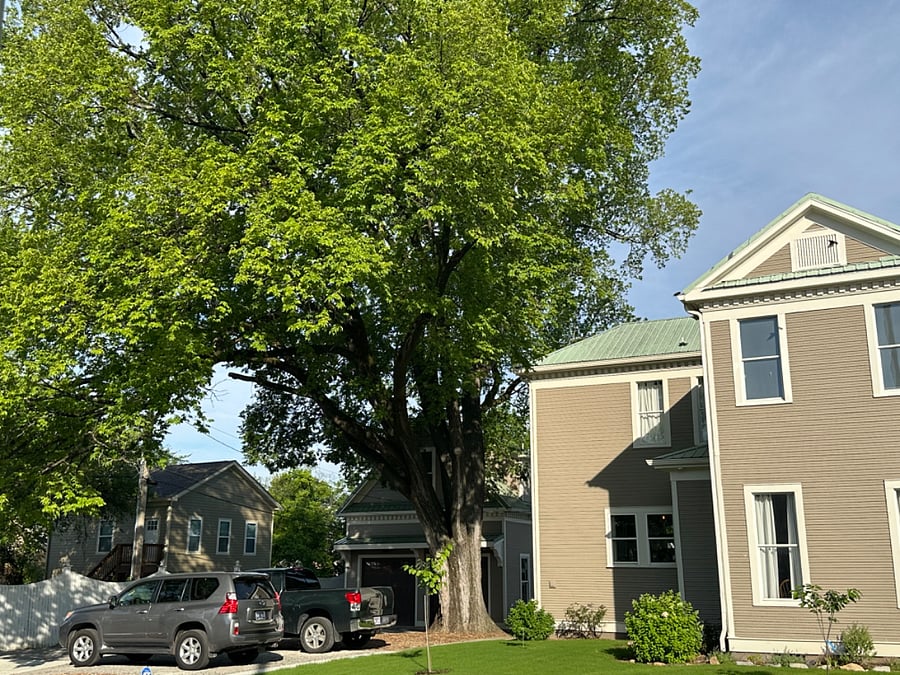 Location behind Chamberlain Hall 