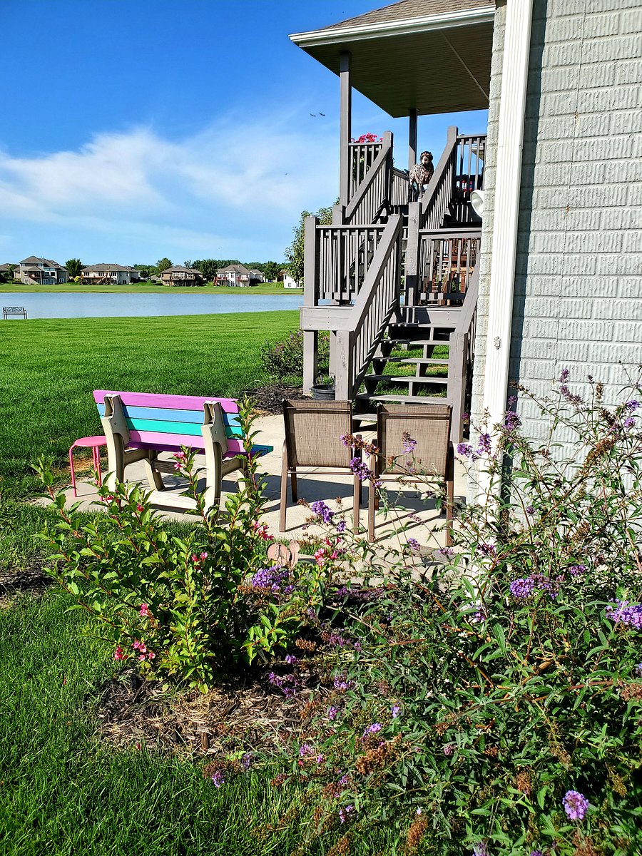 Patio & garden