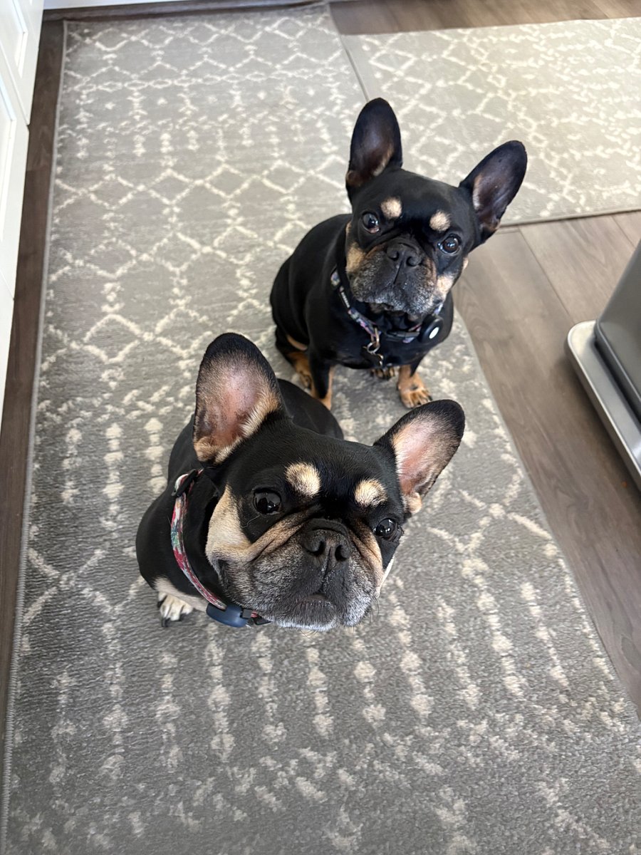 The girls, happy silly, and quiet . Duckie and Birdie