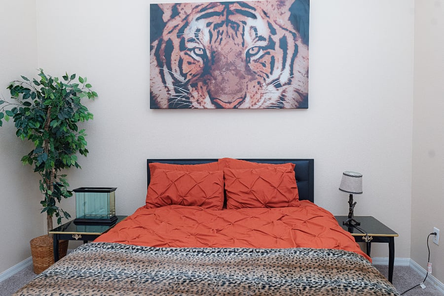 Furnished Finder property 1001052_1 photo 22
