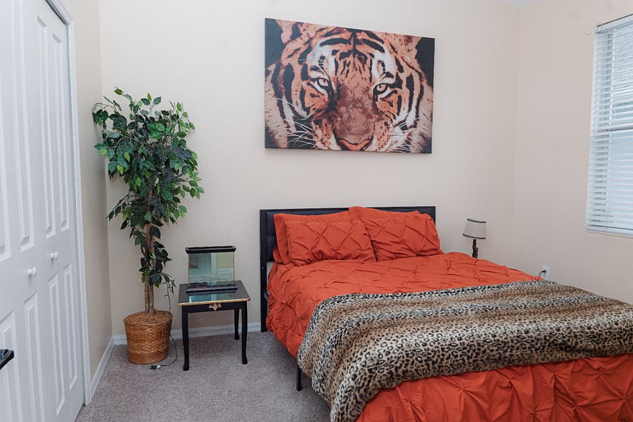 Furnished Finder property 1001052_1 photo 23