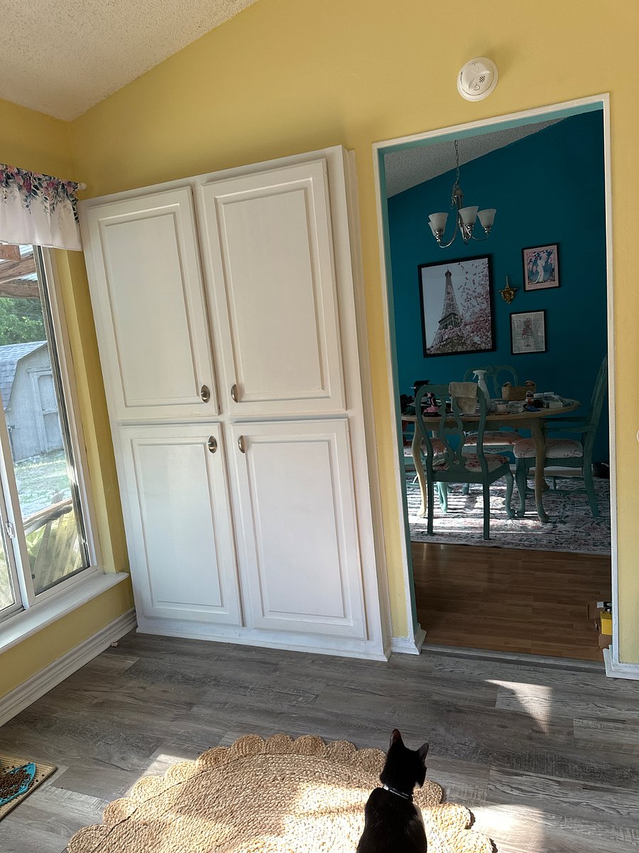 View from kitchen to dining room (cat not included)