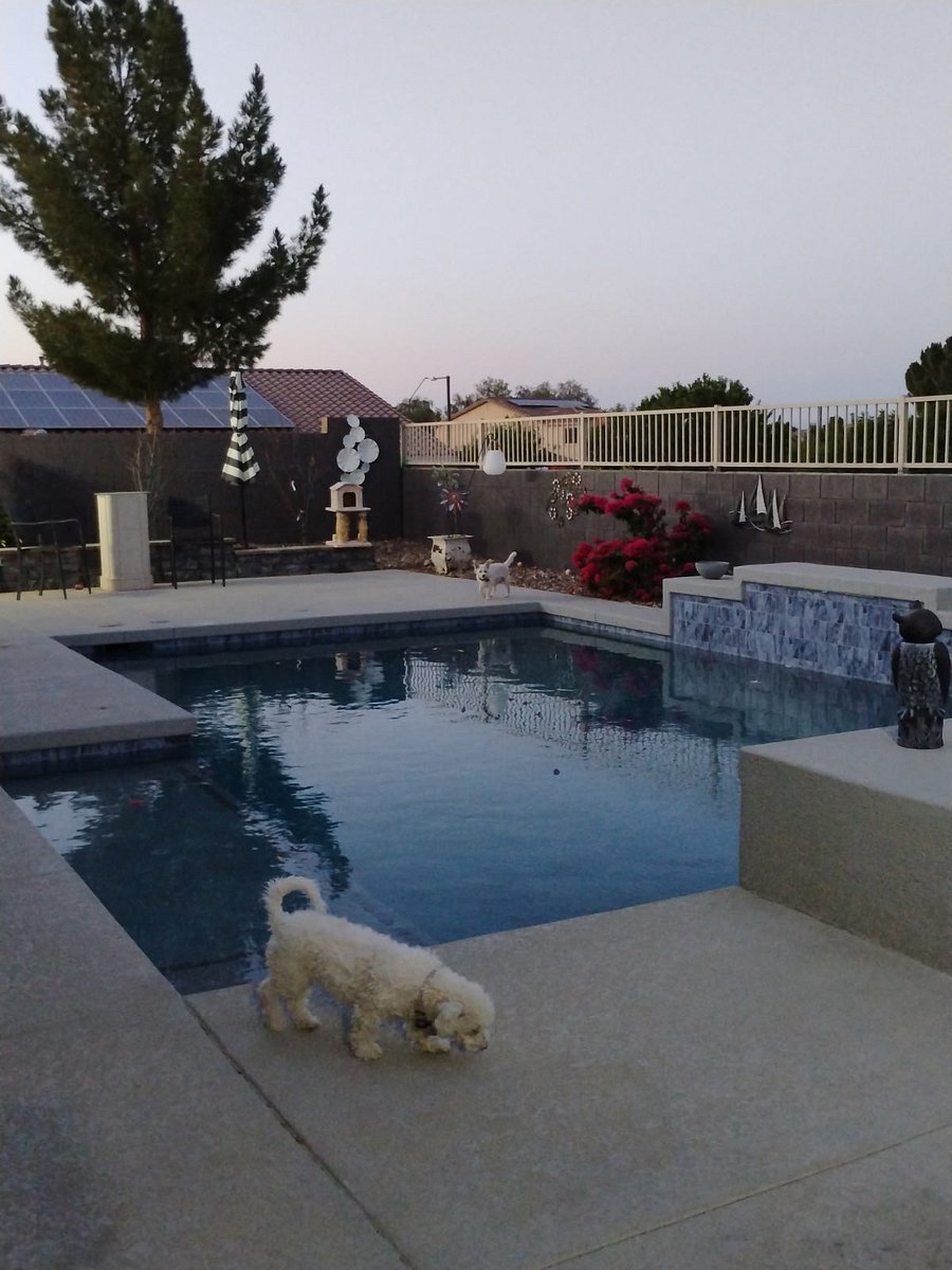 Furnished Finder property 1001095_1 photo 9