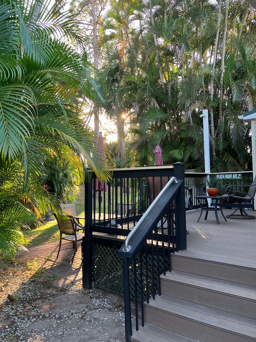 Back deck