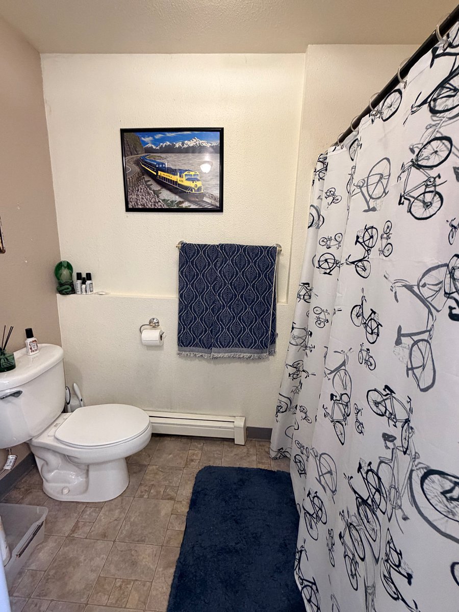 Furnished Finder property 1001190_1 photo 29