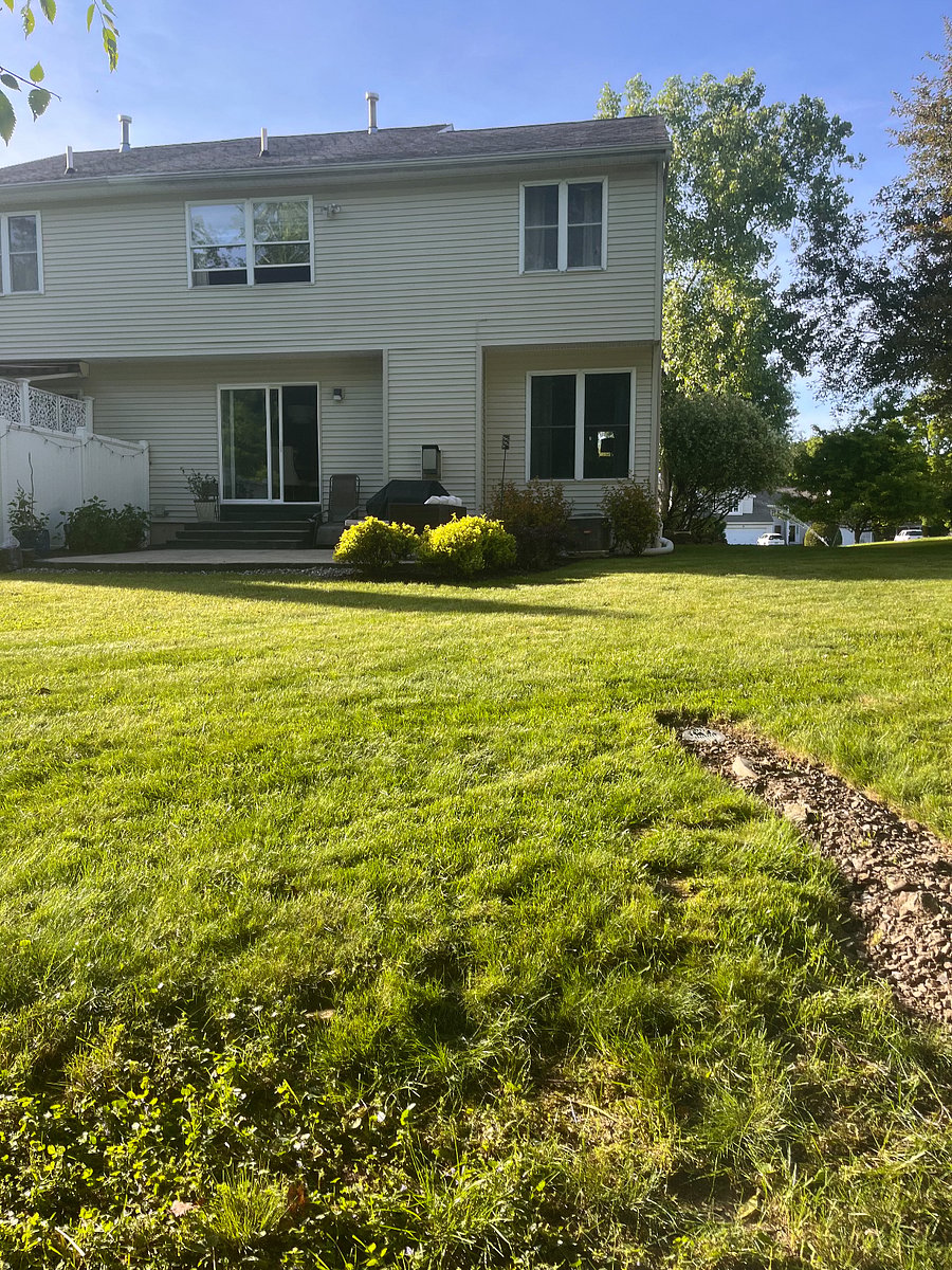 Furnished Finder property 1001198_1 photo 15