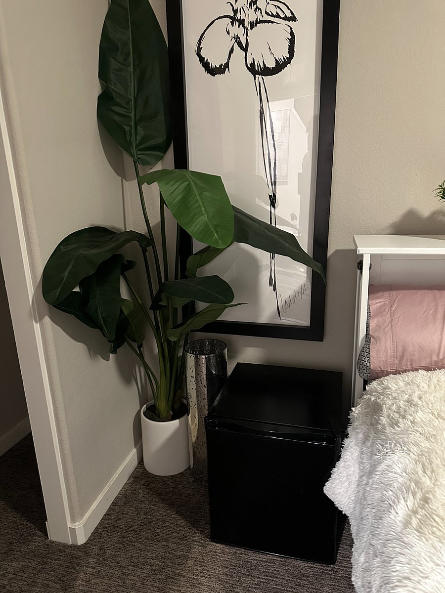 Mini Refrigerator for Private Bedroom