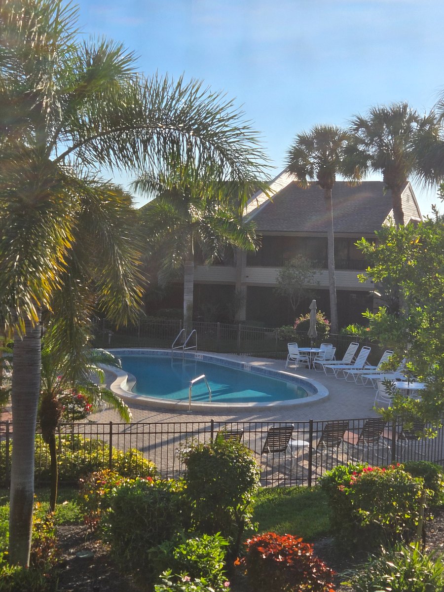 View of the pool from the lanai