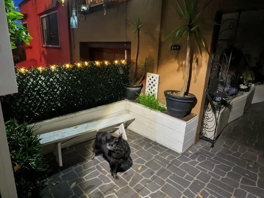Courtyard at night. (Dog not included)