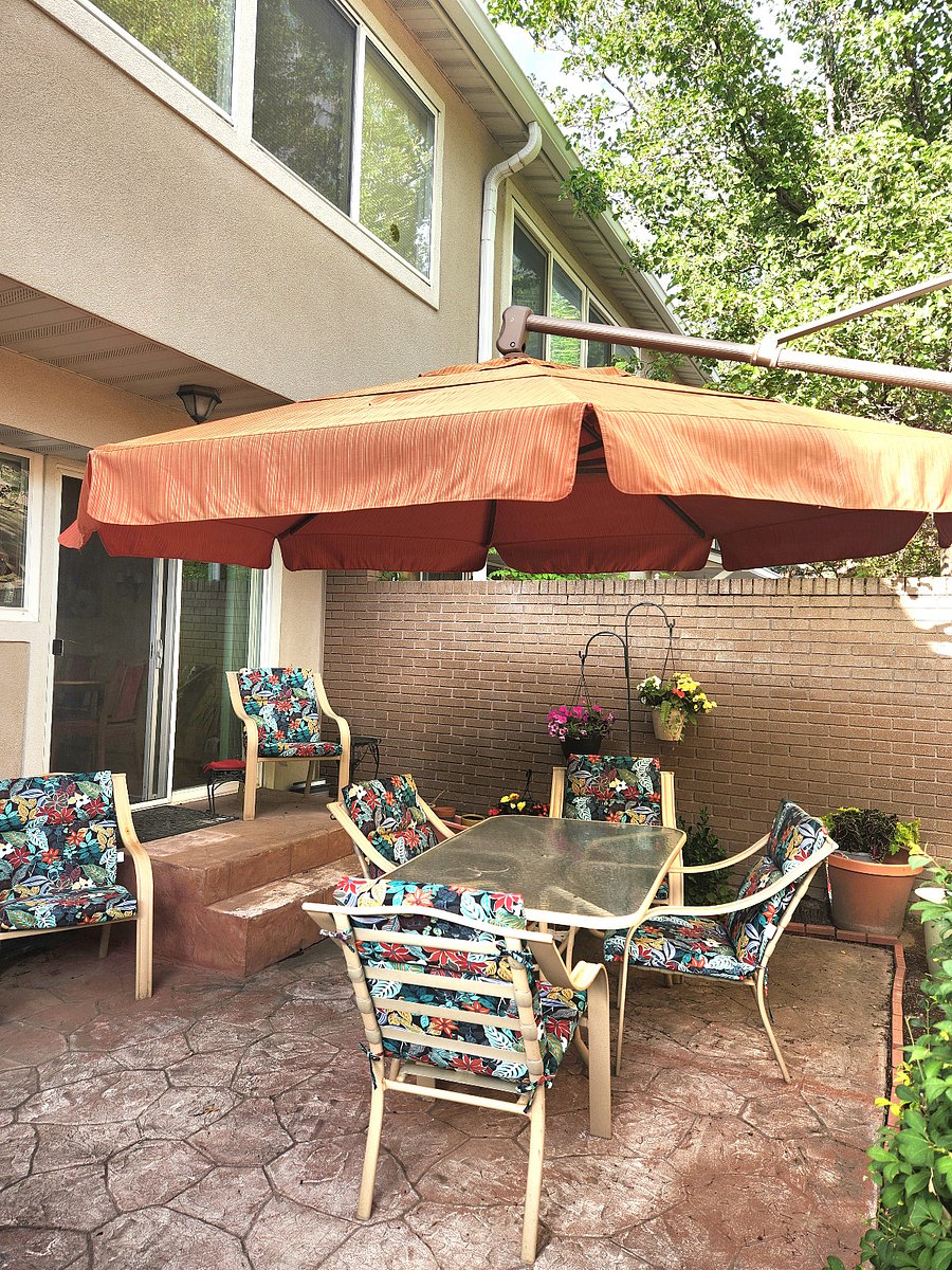 Share my courtyard with me.