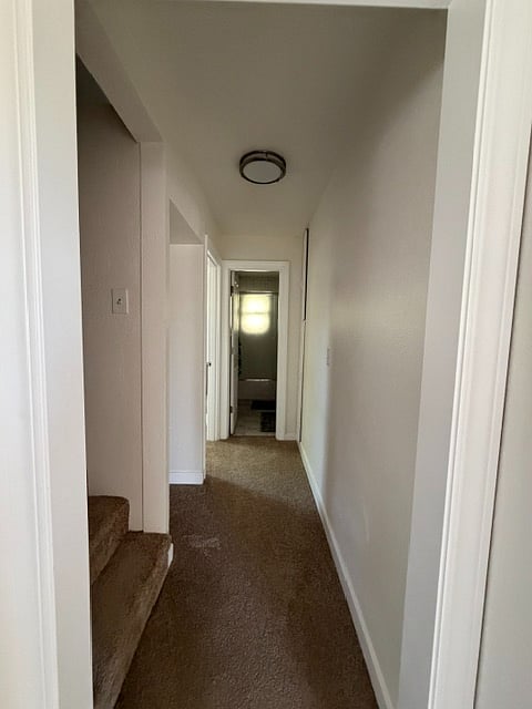 Furnished Finder property 1001364_1 photo 11