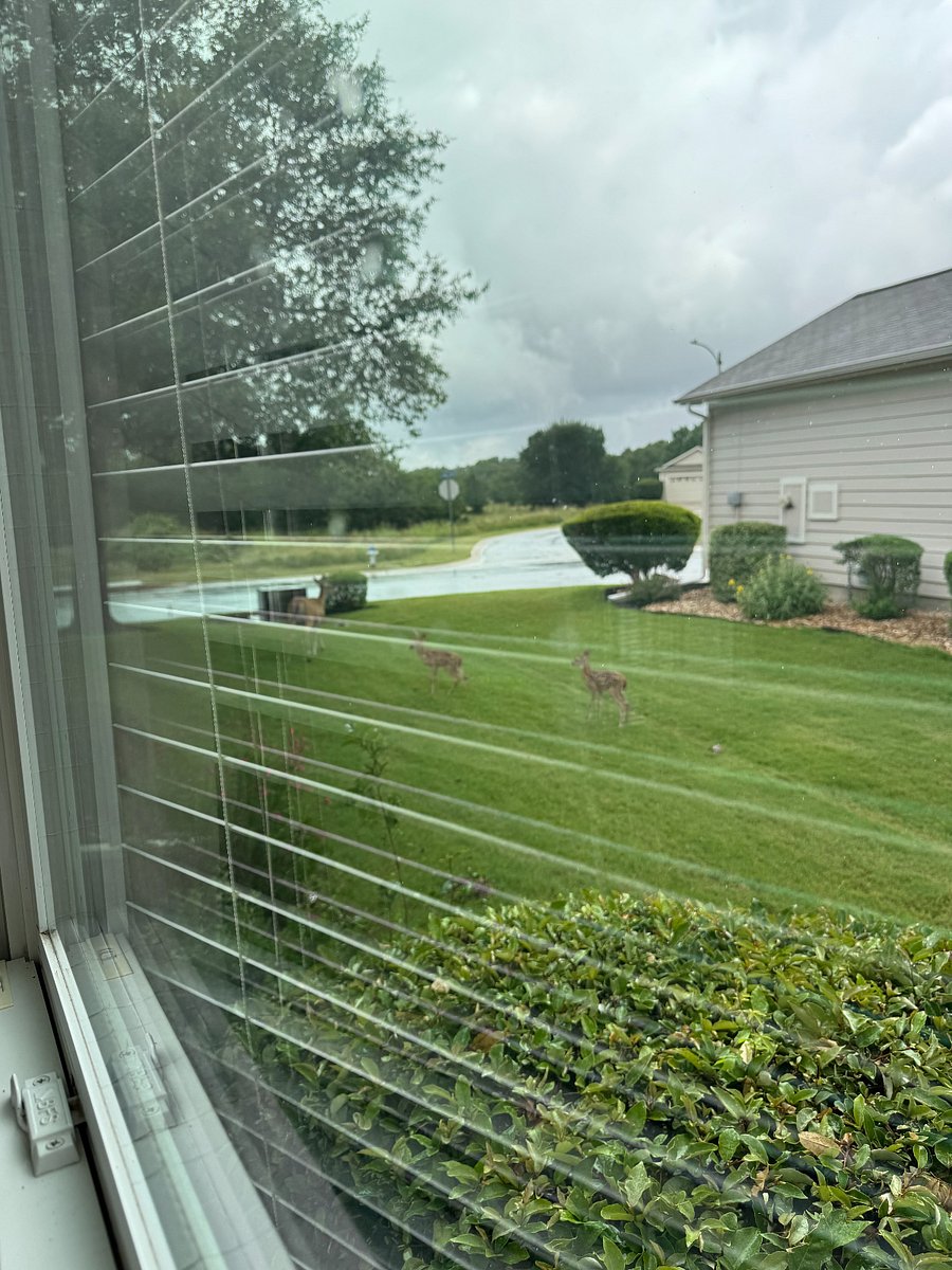 Furnished Finder property 1001368_1 photo 15