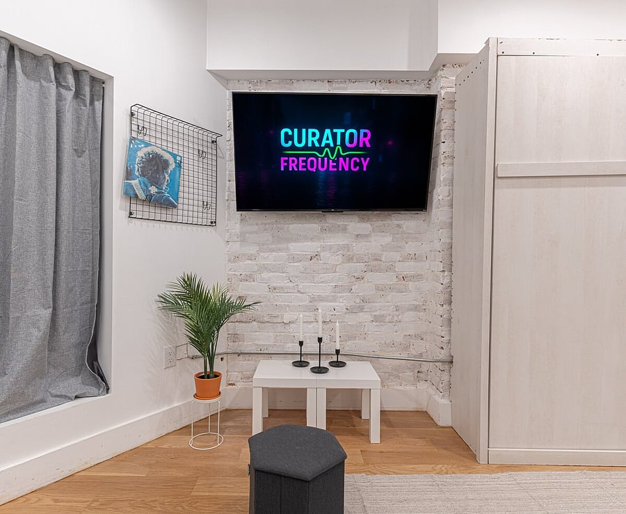 Relaxed living area with smart TV, plush seating and greenery under exposed brick  your comfortable Brooklyn base.