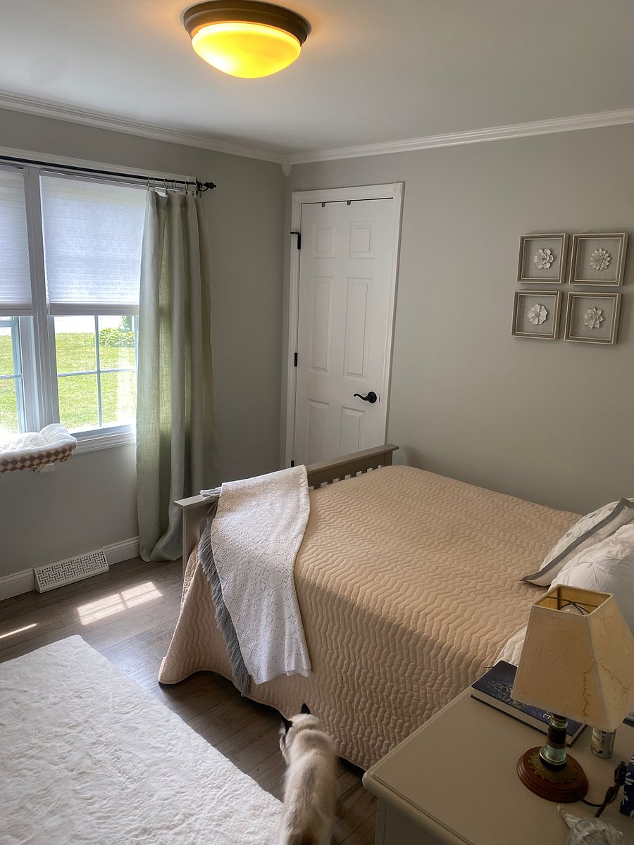 Furnished Finder property 1001479_1 photo 17