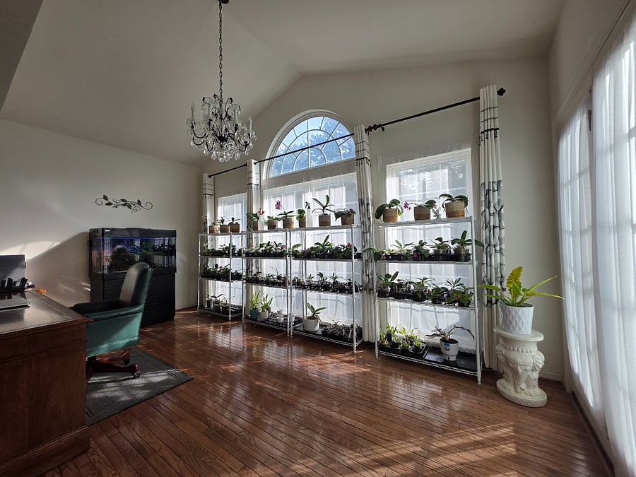 Sun room
