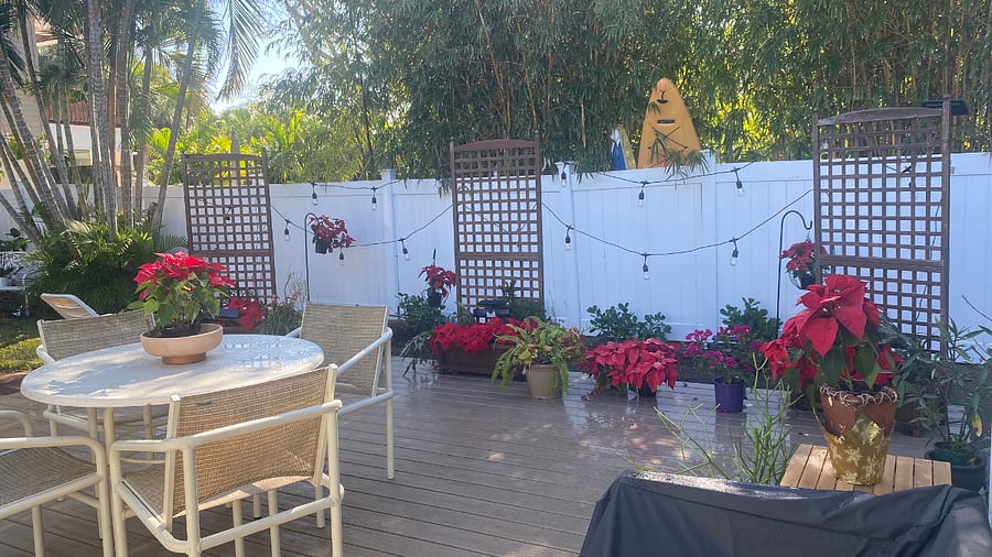 Furnished Finder property 1001521_1 photo 15