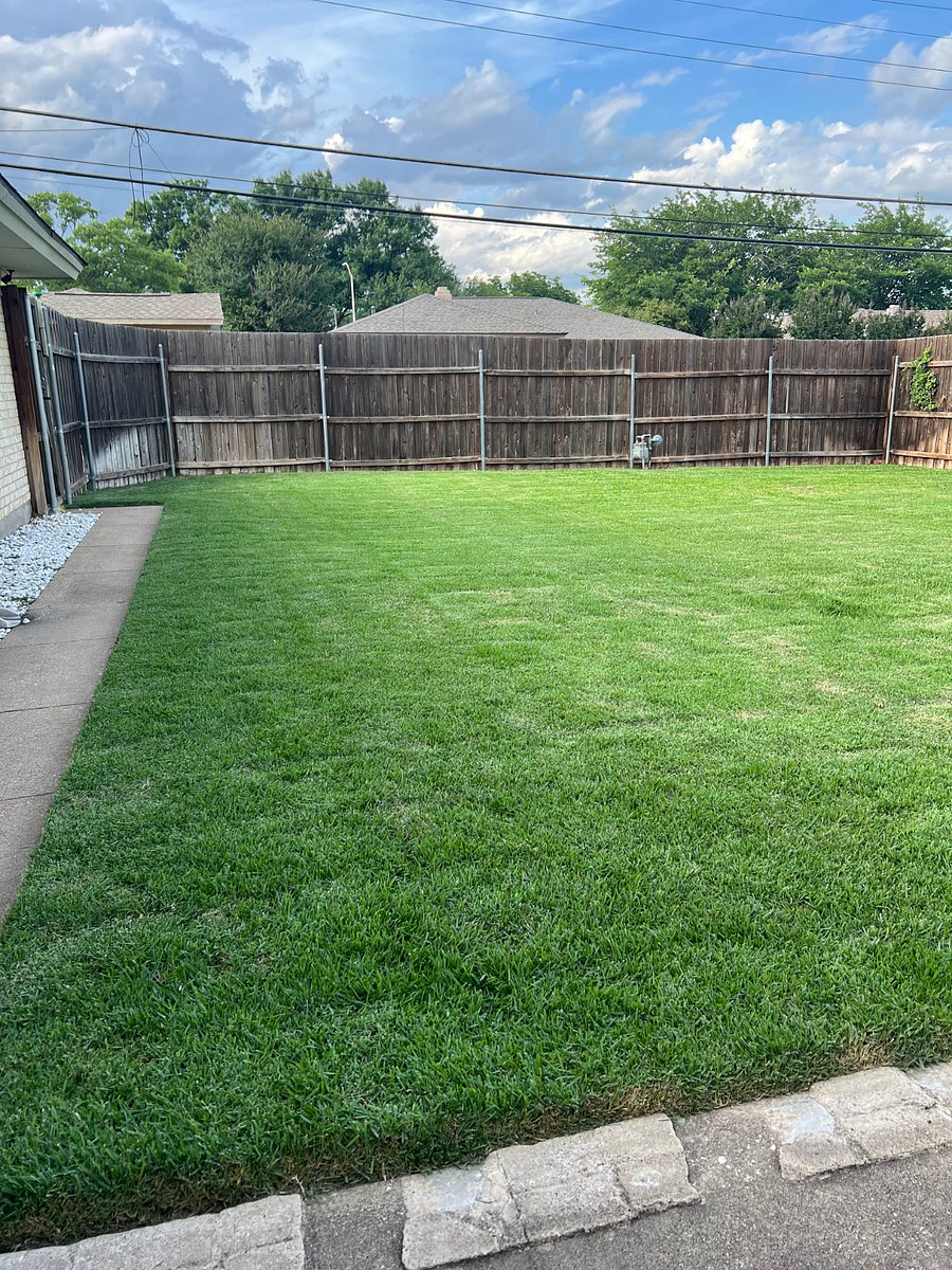 Spacious and fenced backyard! Perfect for kids, lounging out, or pets to roam!