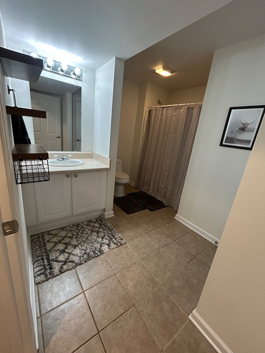 Furnished Finder property 1001587_1 photo 13