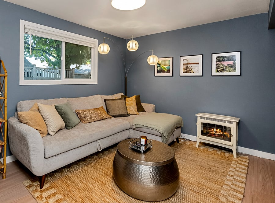 Television room and Sofa bed (second room)