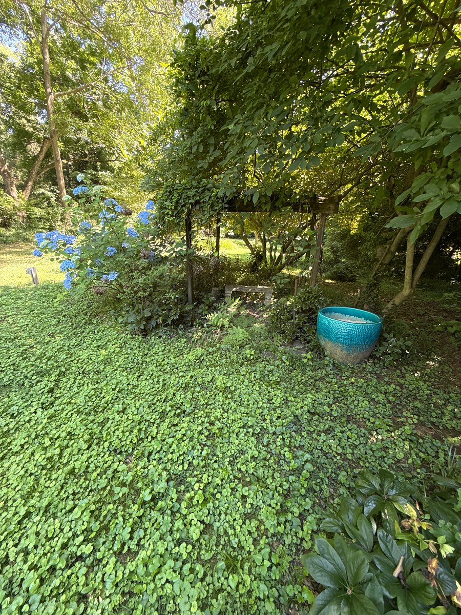 Furnished Finder property 1001683_1 photo 14