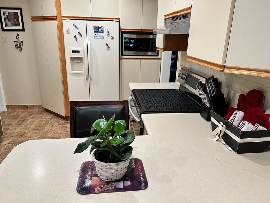 Furnished Finder property 1001684_1 photo 5