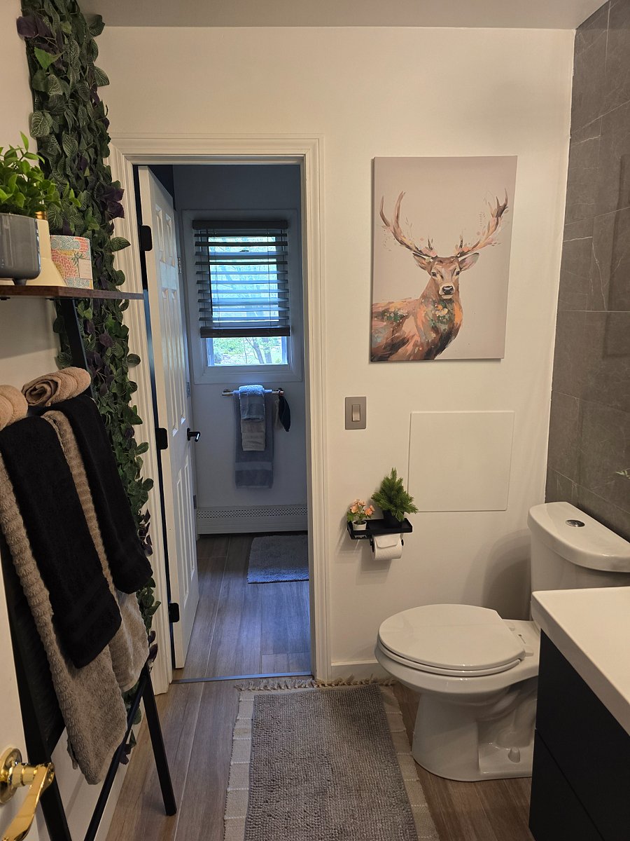 Furnished Finder property 1001703_1 photo 20