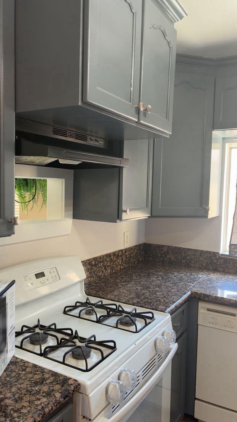 Furnished Finder property 1001769_1 photo 6